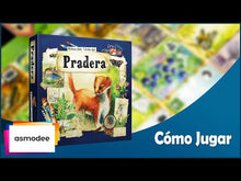 Cargar y reproducir el video en el visor de la galería, PRADERA