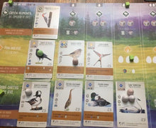 Cargar imagen en el visor de la galería, WINGSPAN