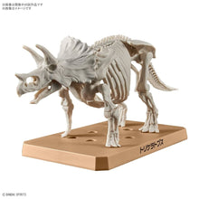 Cargar imagen en el visor de la galería, PLANNOSAURUS TRICERATOPS
