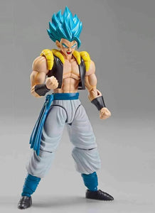 DRAGON BALL: SUPER SAIYAN GOD SUPER SAIYAN GOGETA