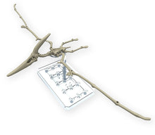 Cargar imagen en el visor de la galería, PLANNOSAURUS PTERANODON
