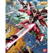 Cargar imagen en el visor de la galería, MG 1/100 INFINITE JUSTICE GUNDAM
