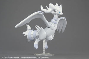 POKÉMON MODEL KIT RESHIRAM