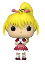 Cargar imagen en el visor de la galería, POP! HUNTER X HUNTER, BISKY
